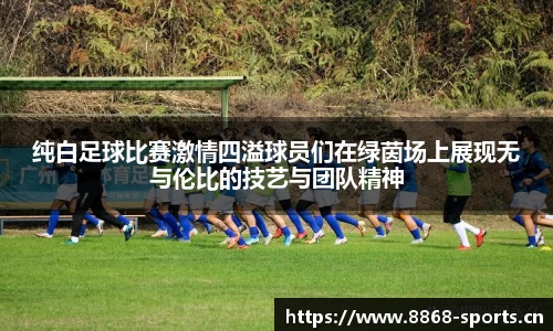 8868体育平台